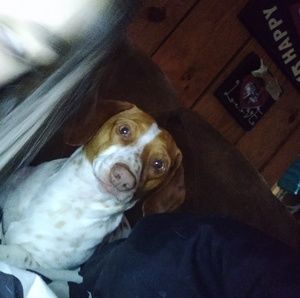 Meet your Posher, Camree